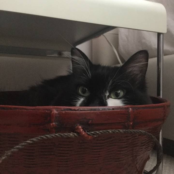 21330563 8a92 4dc8 93f5 246e22b67cbd