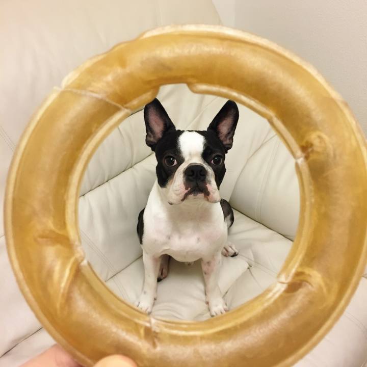 2133a4ac 2bb9 426b 927b 807019c8ccdf