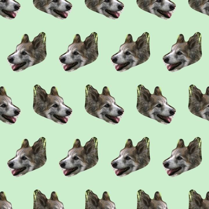 213422c9 f4fa 4b6e 8bab 181505a91748