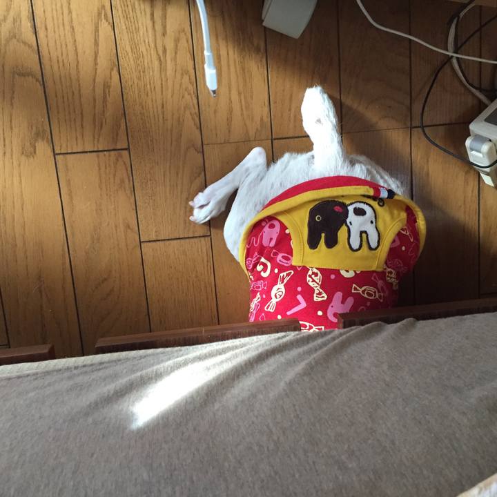 21346a9d 3bd4 466c 981b 500e00aa6535