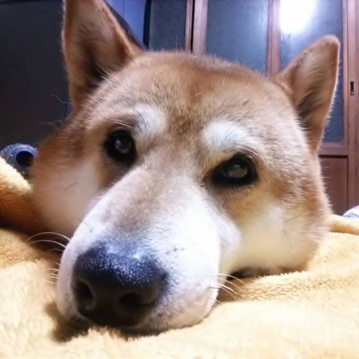 213496c2 88b9 4bca a592 79a7c83d8e79