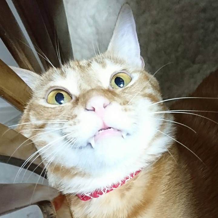 2134a225 e9a2 49aa b147 37d6bd7c7277