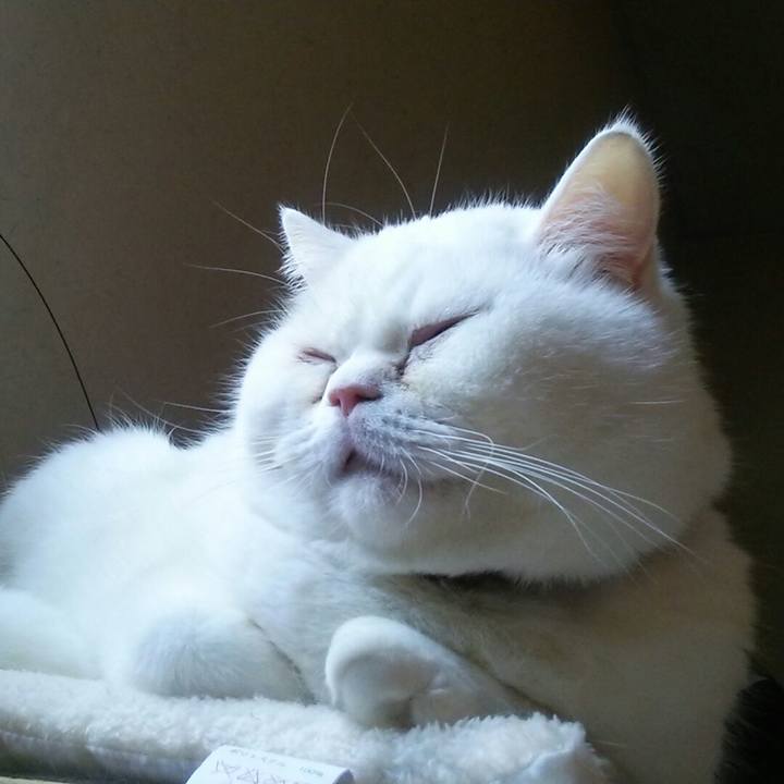 213568e2 b672 4ea8 a7f5 5ee17c07a599