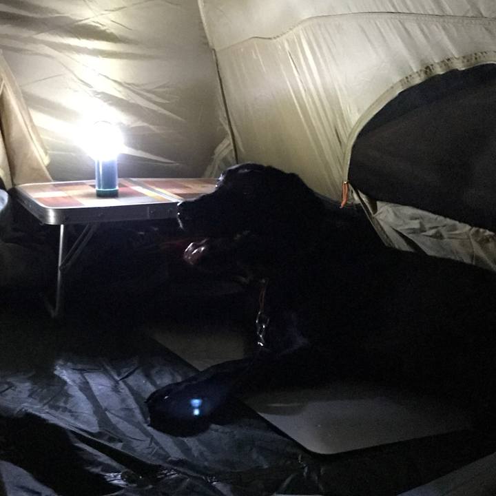 21357001 b4f6 48ee ab97 7bd2d7522fb2