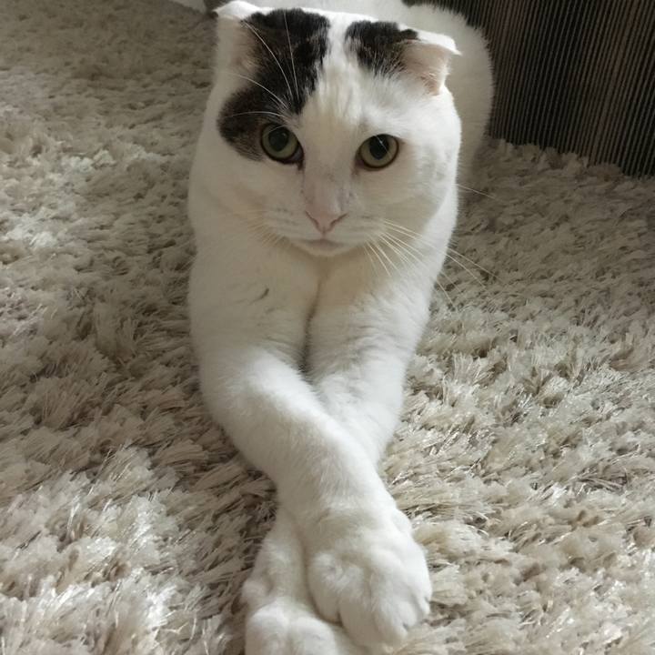 2135e913 c0dc 4140 b2ee f25cd1947d54