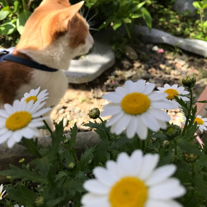 2135fdc8 16d7 40d3 b549 6c394d7572aa