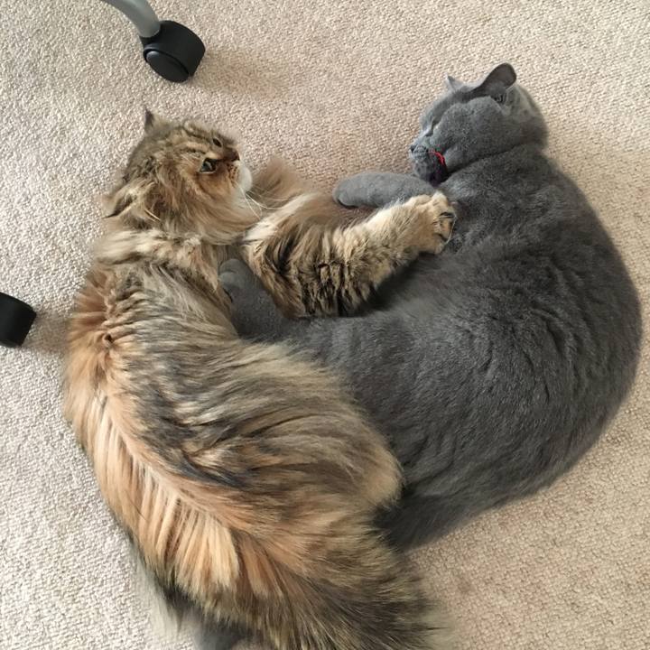 2137e831 b4ca 4550 a262 c2be81f6b2f1