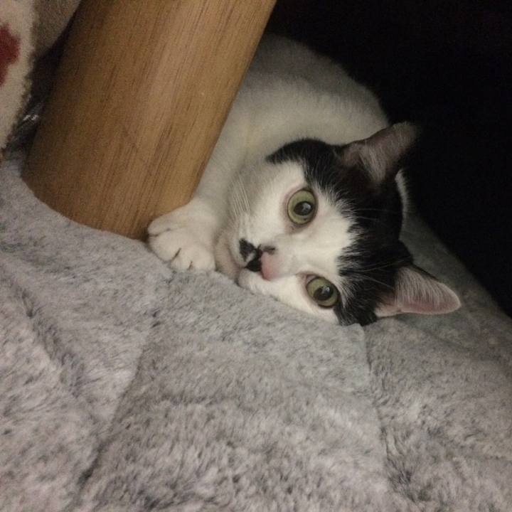 21381c8e a726 45e2 904e 7ec6f925c705