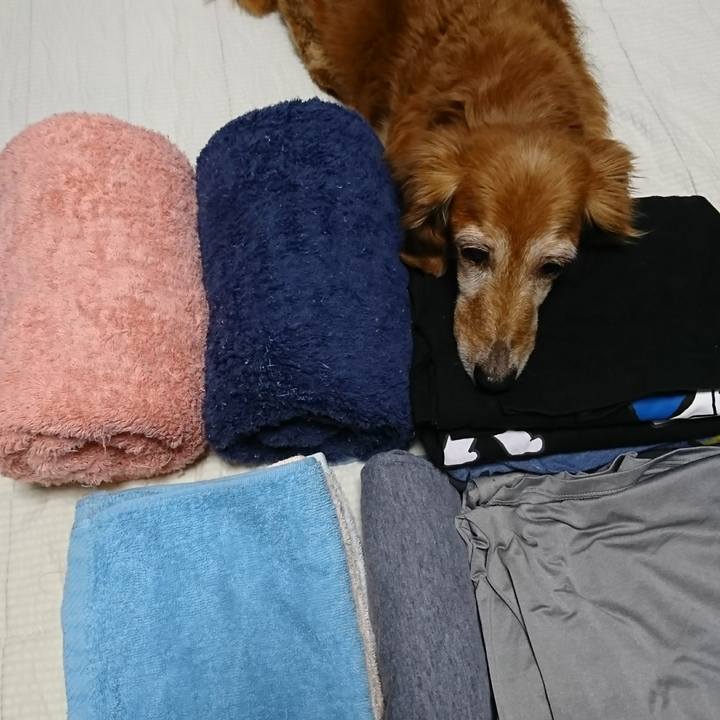 2138865f eb38 4356 857c 81d12c2bb39e