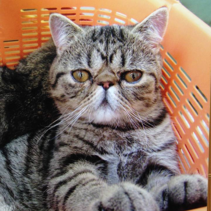 21395000 658d 476a b2a7 d67f5d1c8271