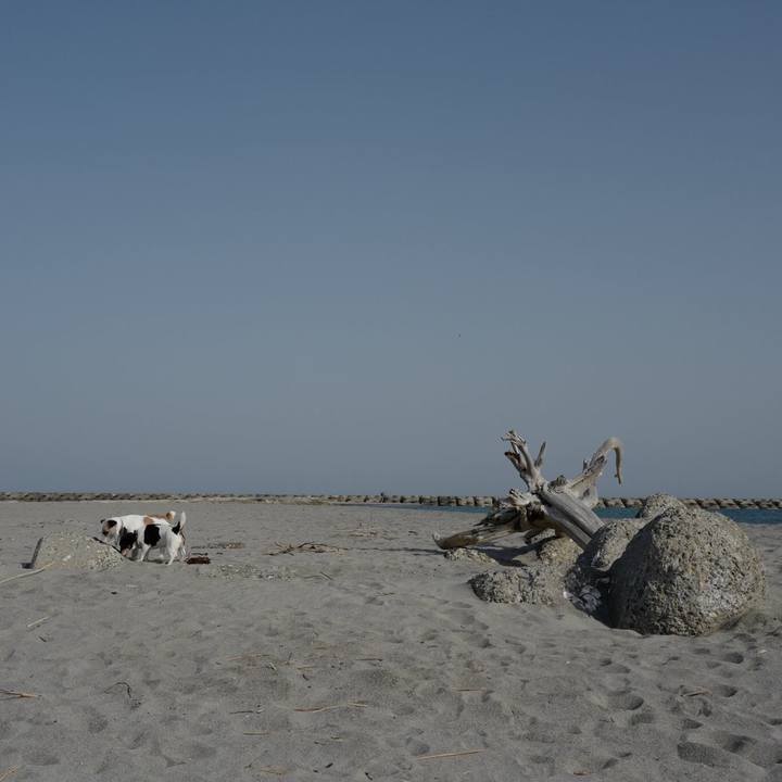 2139a644 9654 45ea b938 b5afc6b25700