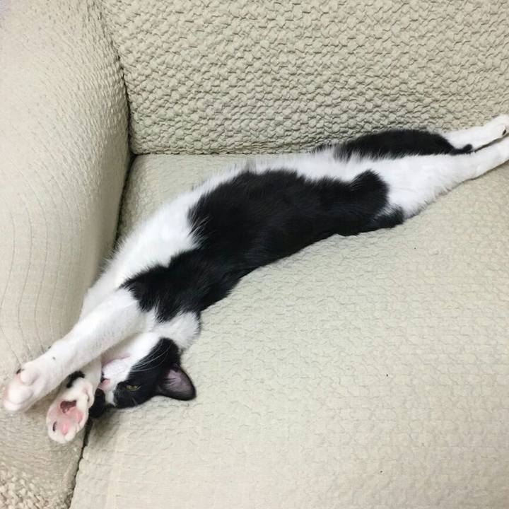 2139aab3 9995 4d3f 8961 ebd73af8f3d3