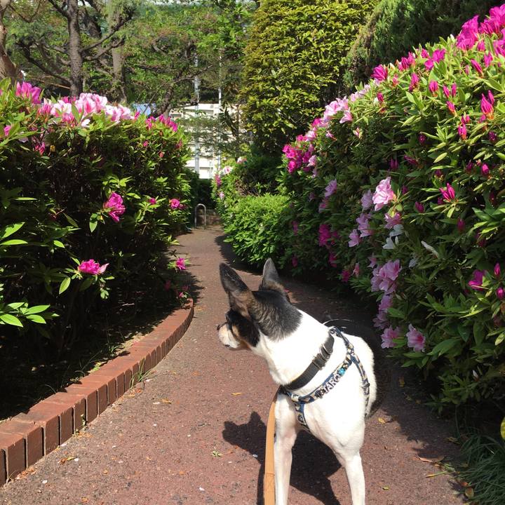 213a2c2e d911 4a5c b329 60607c7dc843