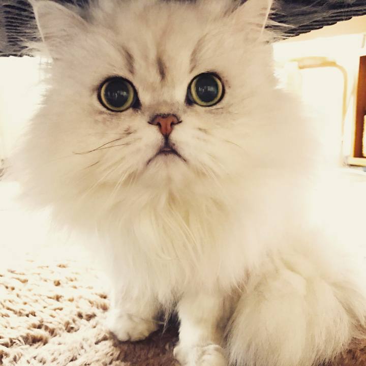 213a357a 9abb 4daa b0e3 a6adbe0badeb