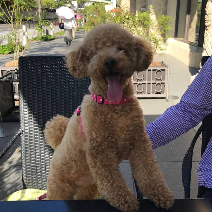 213a9102 9fdc 4d99 aa1e 392fcf2f49c0