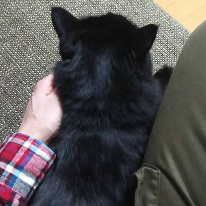 213ab13d b476 4c08 b106 3e4b22f56d28