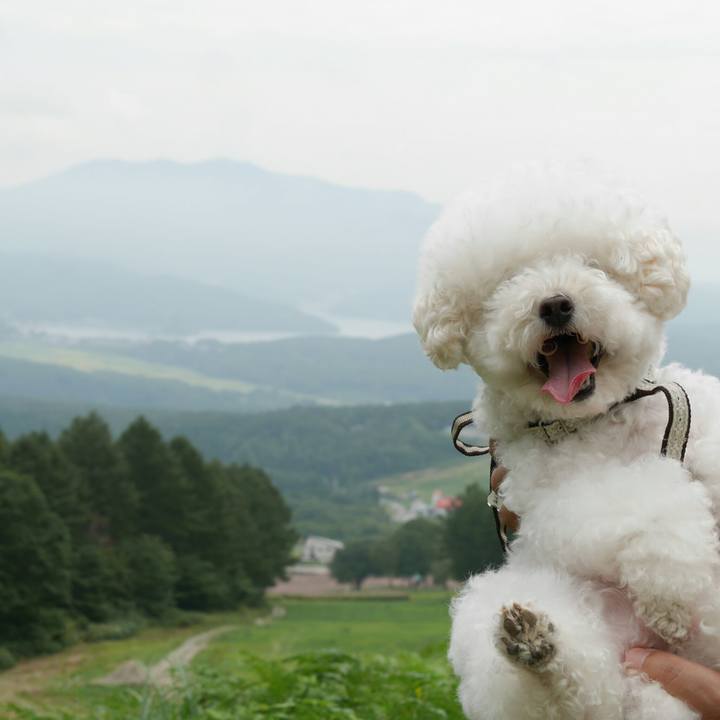 213ac385 aca5 437a 9d5c f2bd42d50440