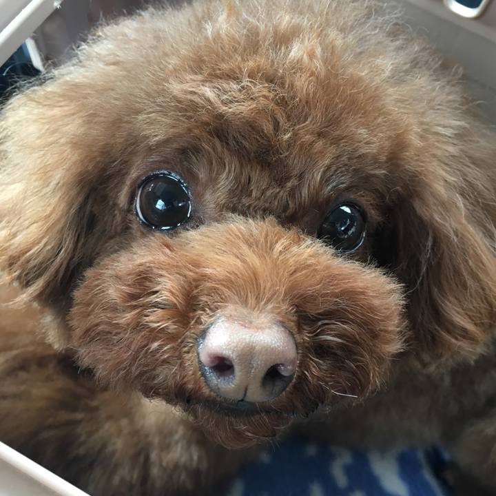 213b3856 8c41 4837 902b c567d791c8cf