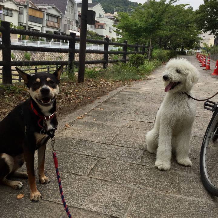 213bcb32 436f 4df8 9f4e ba7399a0dac9