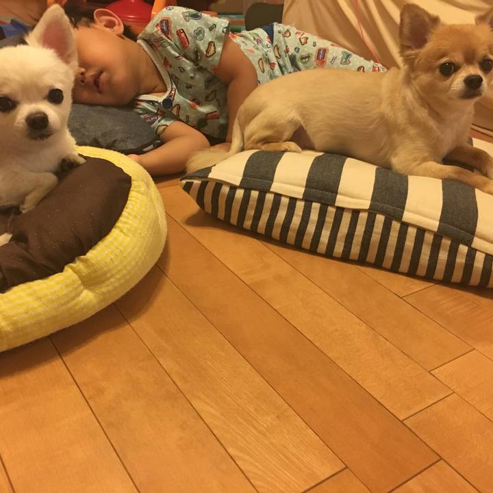 213c89e6 2e8d 43cb bd4b e49282c23259