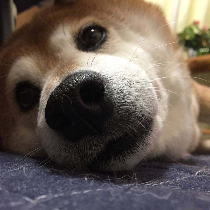 213ce119 626c 48c6 a72b bbbe029bb10c