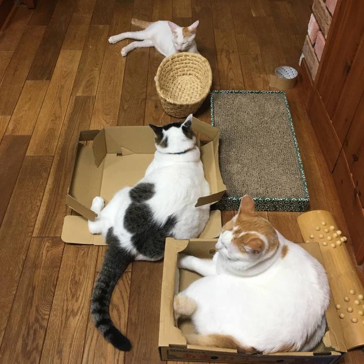 213d2974 3289 4b71 9c9d e09590090909