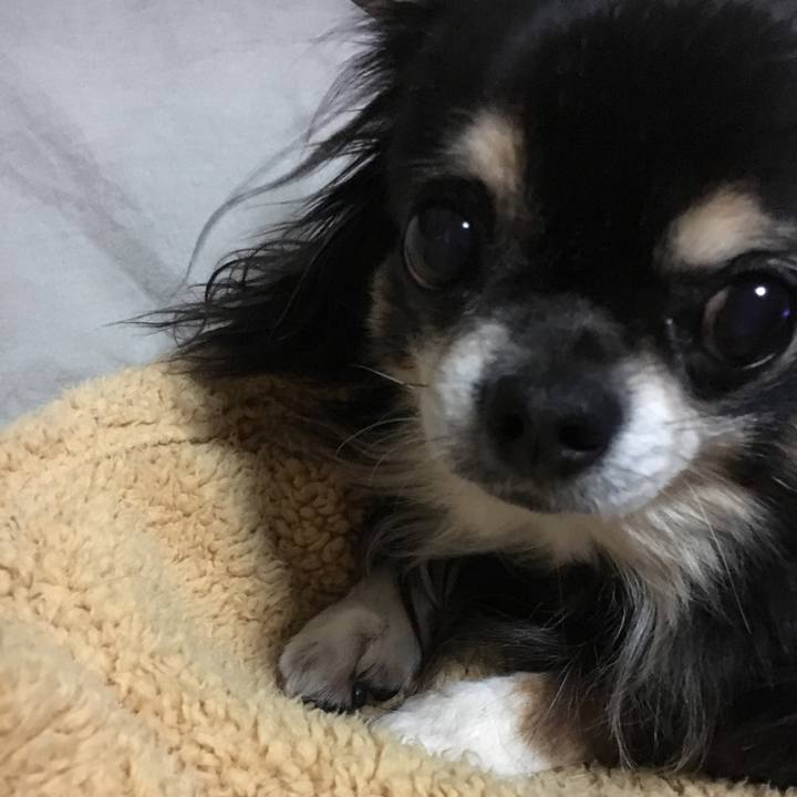 213d6aea fbd7 4ade 95fe fb0ba8b300c2