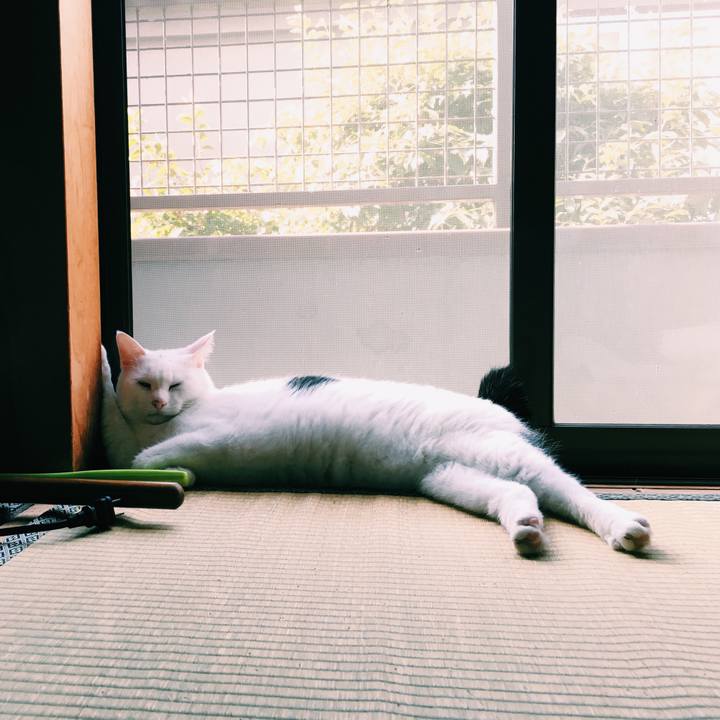 213dac7c 413a 4cd3 9440 04403f3b3ca0