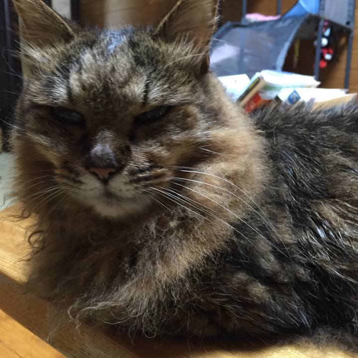 213dd589 355d 4d0e 8737 58934209ad8b