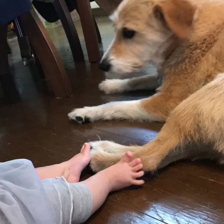 213df704 afae 4c38 ae25 18c3bc7954f0