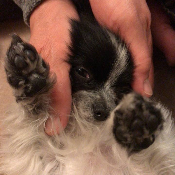 213e3df9 a7db 4eda bdec 3ed619f3418b