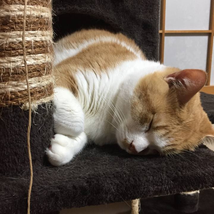 213e8248 a6f0 42ad 838b cccd196880a4