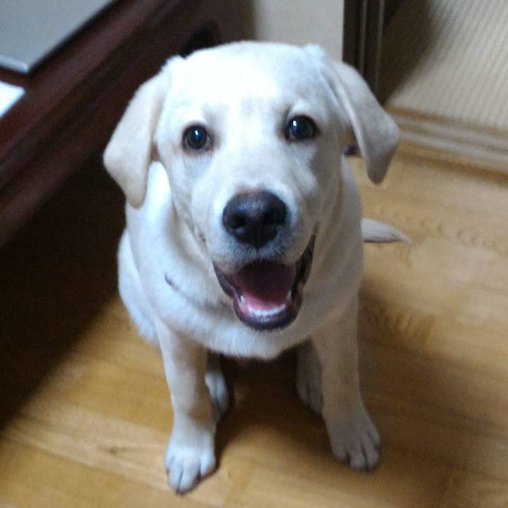 213f2c3d ba91 409a aceb 58769162c4bb