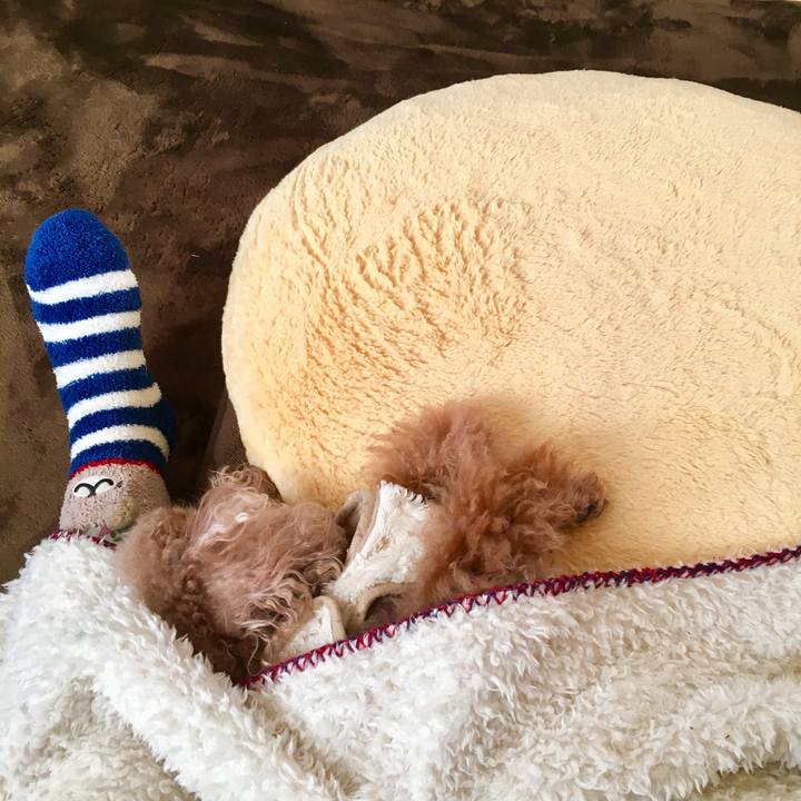 2140d4f2 3404 4abd 94e0 f353901c6aef