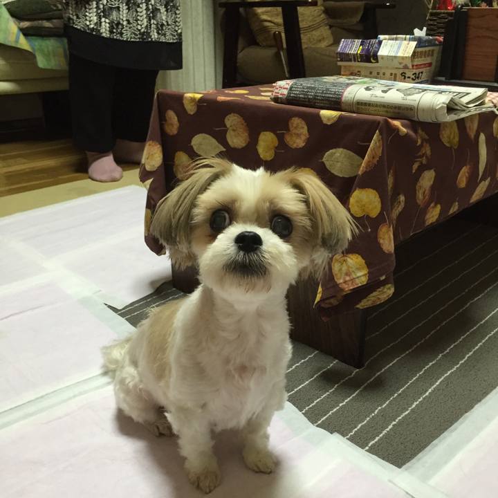 2140d968 7c4d 4d4a 9dd4 aac2700cbdbe