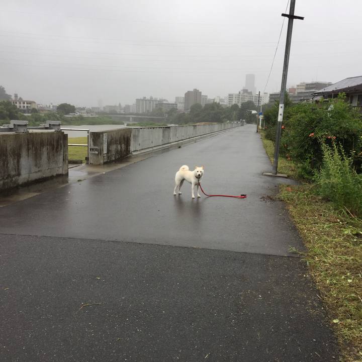 214103ec d503 49dc b50d d5add827c999