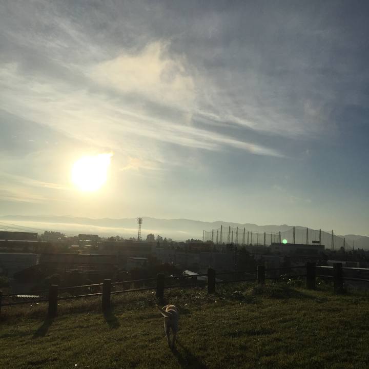 21429211 b3dc 4fbc 8321 f75e3d8f6284