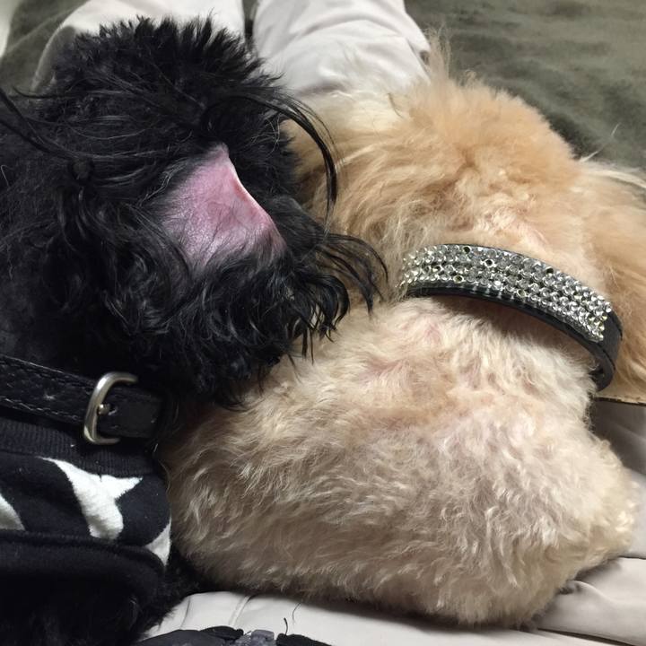 2142f004 56b0 4513 8e02 9ad997fc652c