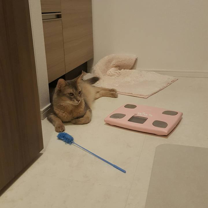 21430776 c420 49db 98cb 5474e5594568