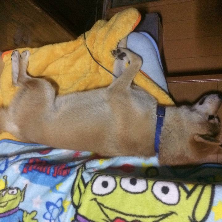 2143ef3a 79e7 439a 9bcf bd5f6b6113f4