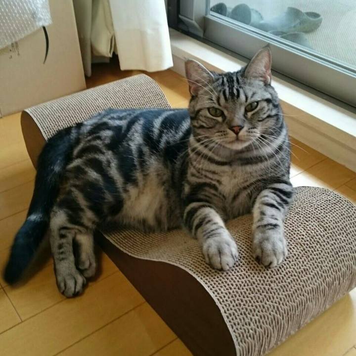 21443c8d 2b5e 4810 98b4 daf246fb177e