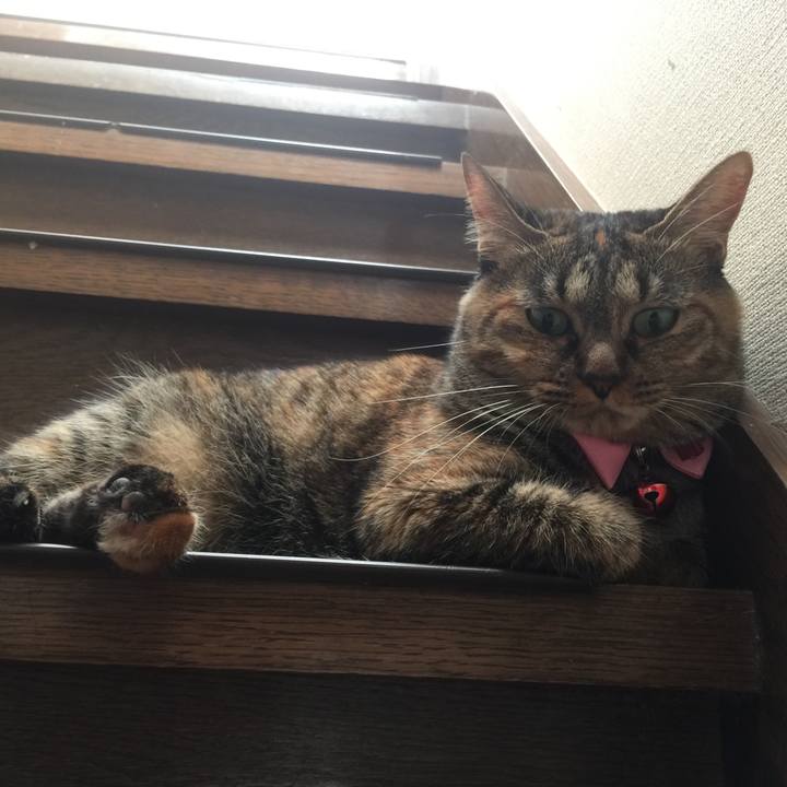 2144935a 009a 4489 b4b8 bb0e7ff218cd