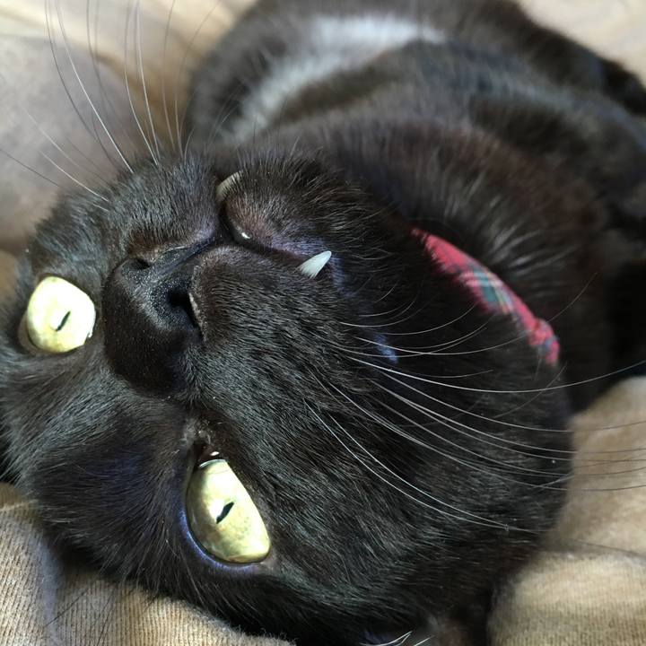 2144a8c5 5a4f 4266 a8bd 53d1b4853198