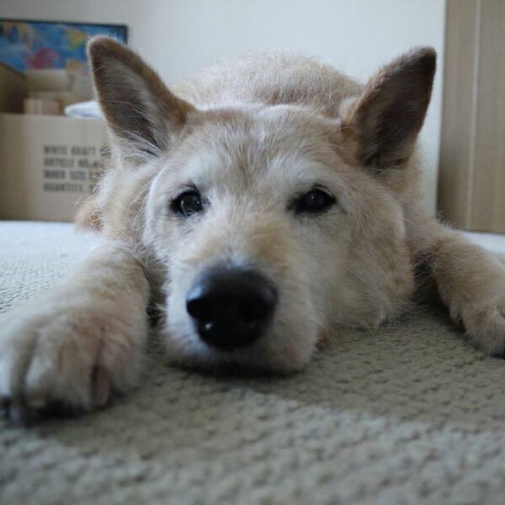 2144cb06 7ea4 4ebe bd1e c83487fc5119