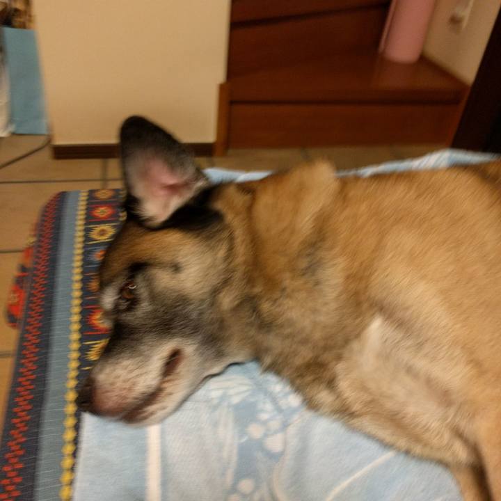 21450693 bfa3 4a03 a876 cffa3e5533b8