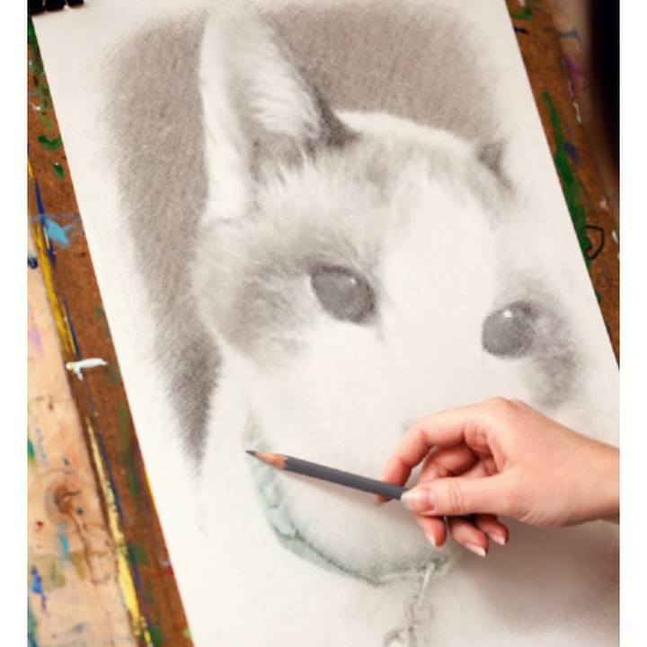 214540dd f8ca 46ae 8ca6 0bc15f1e2495