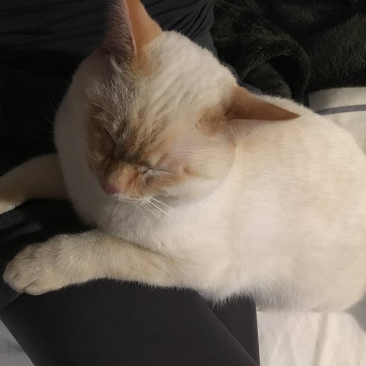 2145feb6 02f3 4c4d 923b 50569f1be25b