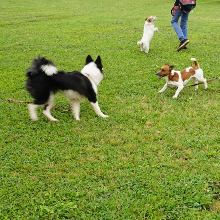 214645f1 7681 432f a228 eaa010e9e36a