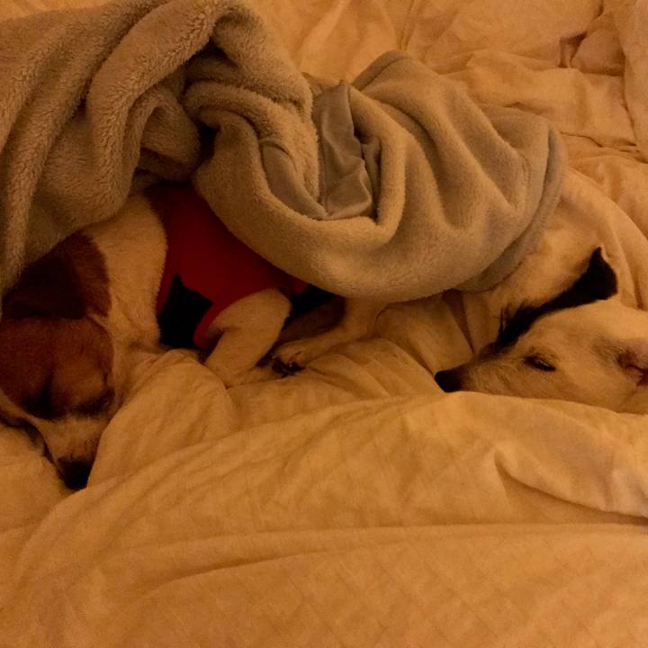 21471503 7d94 4e4a bda2 5001928dbe4d