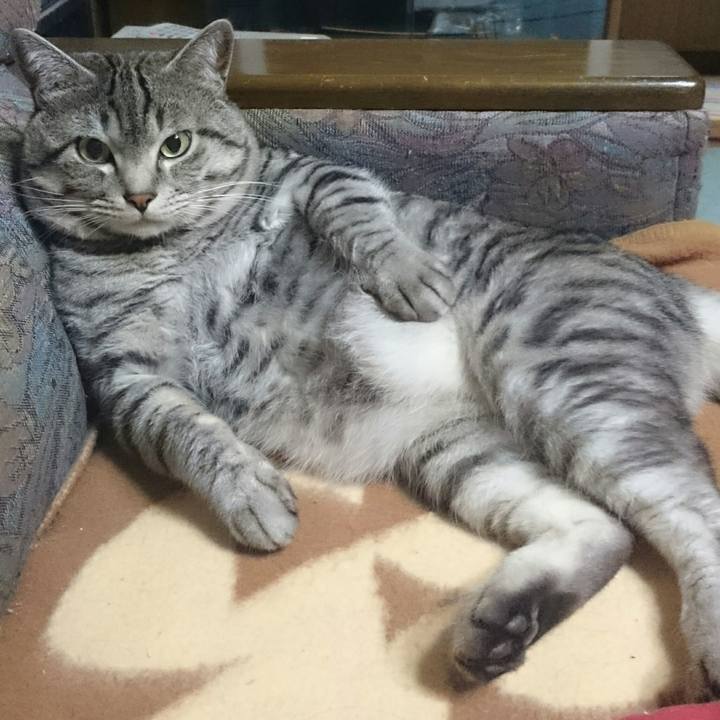 21471dc4 9d33 4c65 8f02 eadc88a4353e